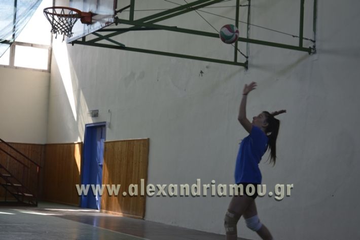 volley_1o-alexandreias-melikis2018 (64)